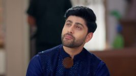 Vasudha (Zee Tv) S01 E113 10th February 2025