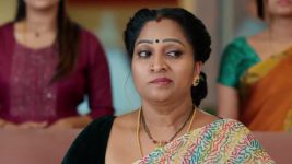 Ammayi Garu S01 E739 13th March 2025