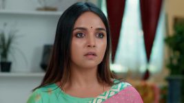 Ammayi Garu S01 E742 17th March 2025
