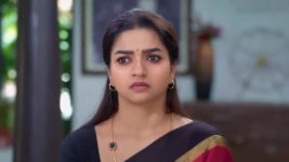 Anna (Tamil) S01 E617 5th March 2025