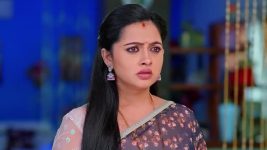 Annapoorna S01 E819 11th March 2025