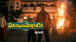 Gharana Mogudu (Zee Telugu)