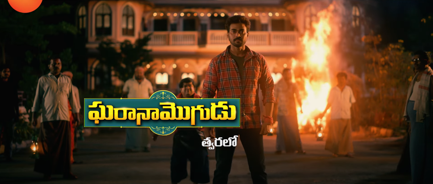 Gharana Mogudu (Zee Telugu) Gharana Mogudu (Zee Telugu)