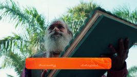Chamanthi (Zee Telugu) S01 E60 7th March 2025