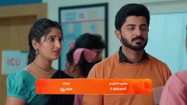 Chamanthi (Zee Telugu) S01 E66 13th March 2025