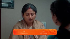 Chamanthi (Zee Telugu) S01 E67 14th March 2025