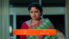 Chamanthi (Zee Telugu) S01 E76 23rd March 2025