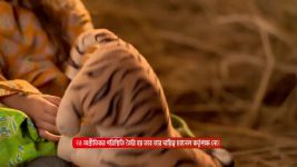 Duggamoni O Bagh Mama S01 E08 12th March 2025