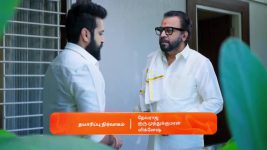 Gattimelam S01 E31 3rd March 2025