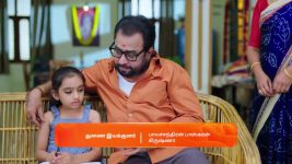 Gattimelam S01 E37 11th March 2025