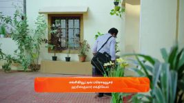 Gattimelam S01 E39 13th March 2025