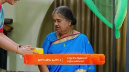 Gattimelam S01 E40 14th March 2025