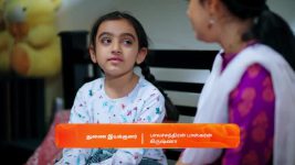 Gattimelam S01 E41 17th March 2025