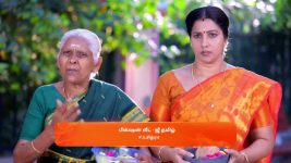 Idhayam S01 E642 25th March 2025