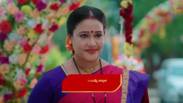 Intinti Ramayanam (Star Maa) S01 E238 Parvati Confronts Avani