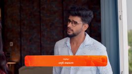 Jagadhatri (zee telugu) S01 E493 20th March 2025