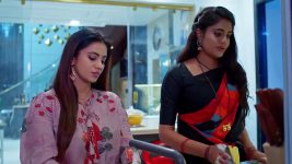 Jagadhatri (zee telugu) S01 E494 21st March 2025