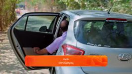 Janaki Ramayya Gari Manavaralu S01 E253 25th February 2025