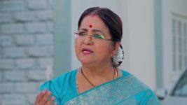 Janaki Ramayya Gari Manavaralu S01 E254 26th February 2025