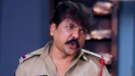 Janaki Ramayya Gari Manavaralu S01 E255 27th February 2025