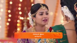 Karthigai Deepam S01 E767 19th March 2025