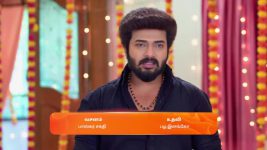 Karthigai Deepam S01 E768 20th March 2025