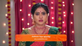 Karthigai Deepam S01 E771 25th March 2025