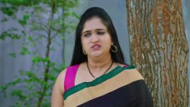 Lakshmi Nivasa S01 E545 4th March 2025
