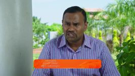 Lakshmi Nivasa S01 E560 14th March 2025