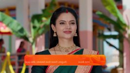 Maa Annaya (Zee Telugu) S01 E317 10th March 2025
