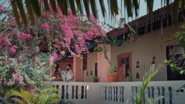 Maa Annaya (Zee Telugu) S01 E319 12th March 2025