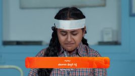 Maa Annaya (Zee Telugu) S01 E325 18th March 2025