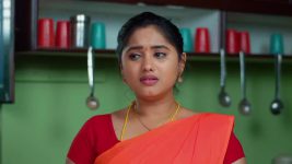 Maa Annaya (Zee Telugu) S01 E329 22nd March 2025
