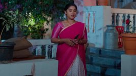 Maa Annaya (Zee Telugu) S01 E331 24th March 2025