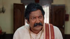 Maa Annaya (Zee Telugu) S01 E336 29th March 2025