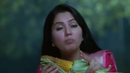 Maamagaru (Star Maa) S01 E460 Ganga Thinks About Gangadhar
