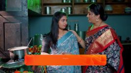 Meghasandesam (Zee Telugu) S01 E255 12th March 2025