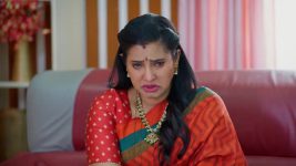 Meghasandesam (Zee Telugu) S01 E257 14th March 2025