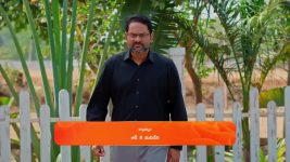 Meghasandesam (Zee Telugu) S01 E261 18th March 2025
