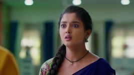 Meghasandesam (Zee Telugu) S01 E263 20th March 2025