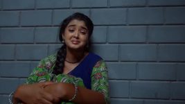 Meghasandesam (Zee Telugu) S01 E266 23rd March 2025