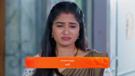 Meghasandesam (Zee Telugu) S01 E267 24th March 2025
