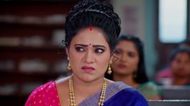 Meghasandesam (Zee Telugu) S01 E268 25th March 2025