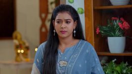 Meghasandesam (Zee Telugu) S01 E271 28th March 2025