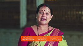 Naa Ninna Bidalaare (Zee Kannada) S01 E31 10th March 2025