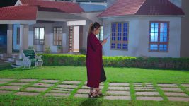 Naag Bhairavi S01 E39 13th March 2025
