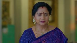 Ninnu Kori (Star Maa) S01 E233 Shalini Stirs Up Jagadeswari