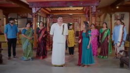 Ninnu Kori (Star Maa) S01 E240 Chandrakala, Virat Are Overjoyed