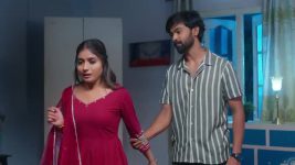 Ninnu Kori (Star Maa) S01 E251 Varadarajulu Plots Against Virat