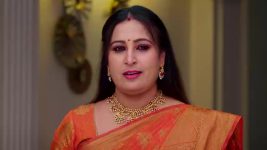 Paape Maa Jeevana Jyothi S01 E1214 Kutti Is on Cloud Nine